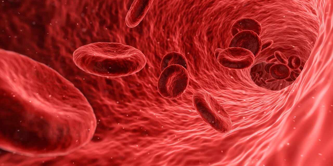 Células dentro que representan anemia
