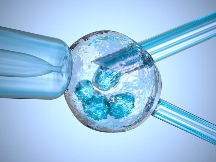 Biopsia embrionaria para PGD