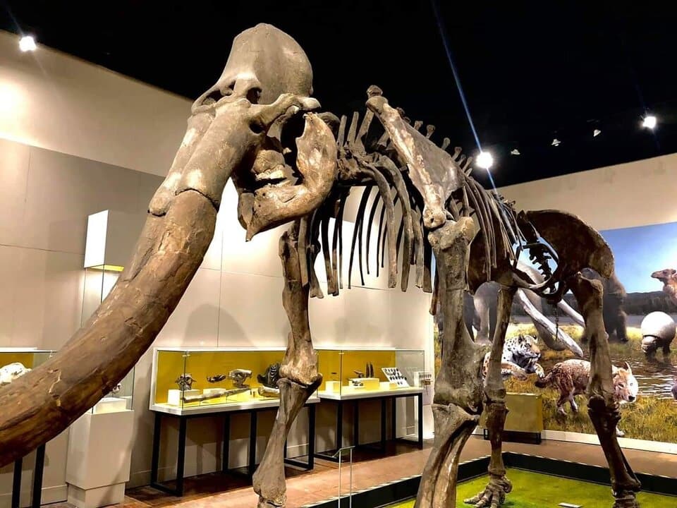 Regional Museum of Guadalajara