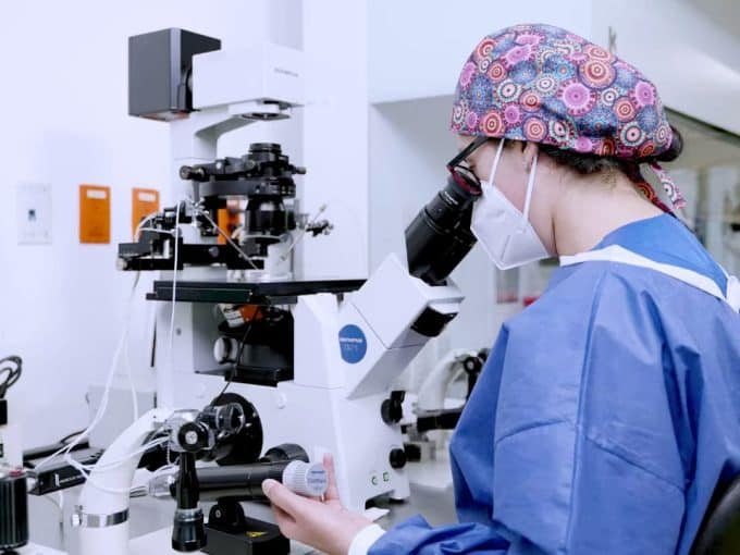 testicular biopsy in laboratory