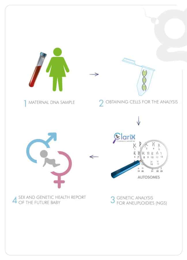 Clarix testing process