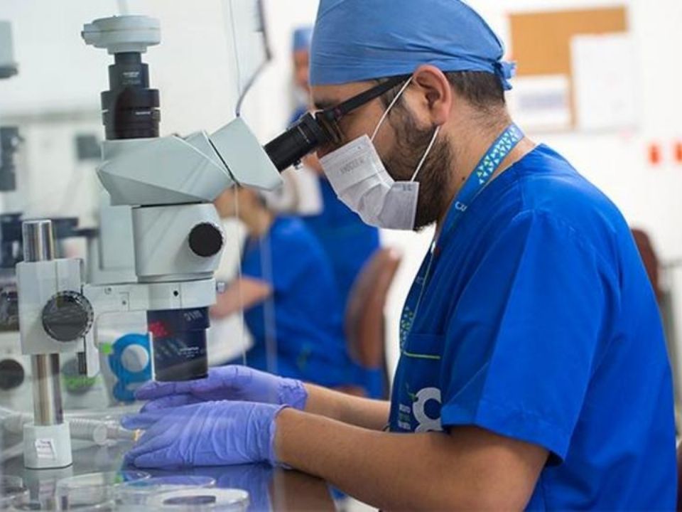 Ingenes Labs