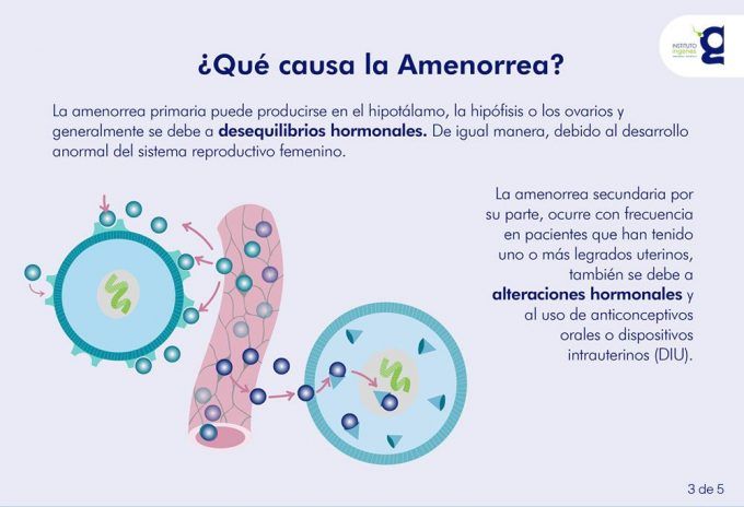 amenorrea