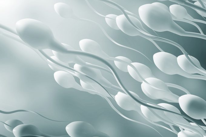 male-infertility-and-how-to-conceive-a-baby-sperms