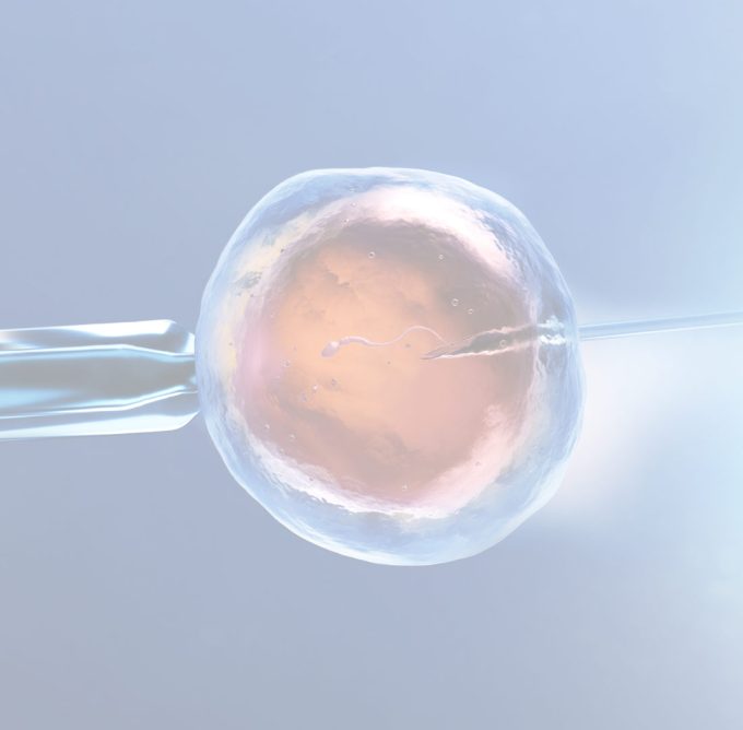 ingenes-fertilizacion-in-vitro-espermatozoide-entrando-a-ovulo