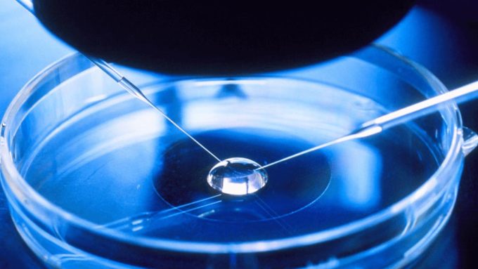 fertilizacion-in-vitro-ingenes-procedimiento-para-unir-ovulo-y-esperma-en-laboratorio
