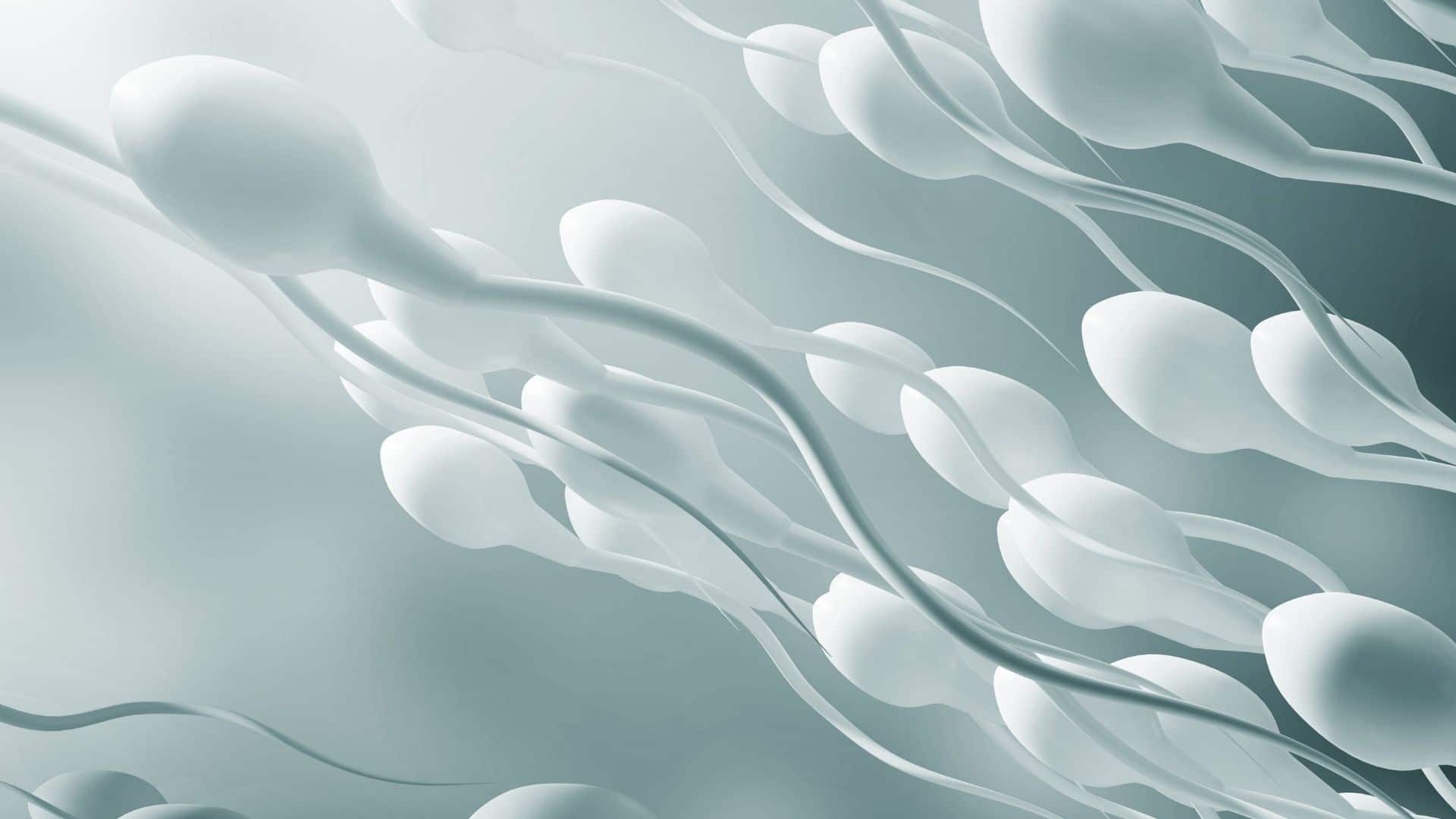 Ilustracion de espermatoziodes sanos