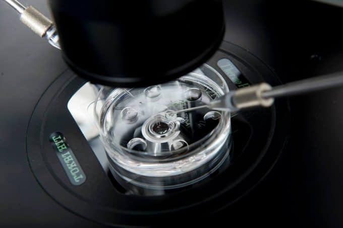 eggs-IVF-Research-embryo-transfer-assisted-reproduction-fertility-infertility-oocyte-under-the-microscope
