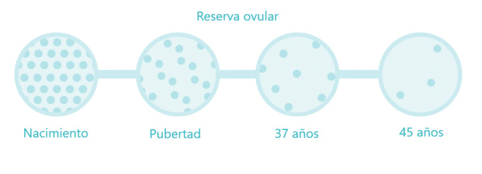 embarazo-despues-de-los-35-reserva-ovular