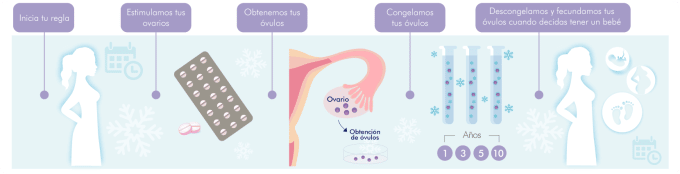 infografia-de-proceso-de-congelamiento-de-ovulos 