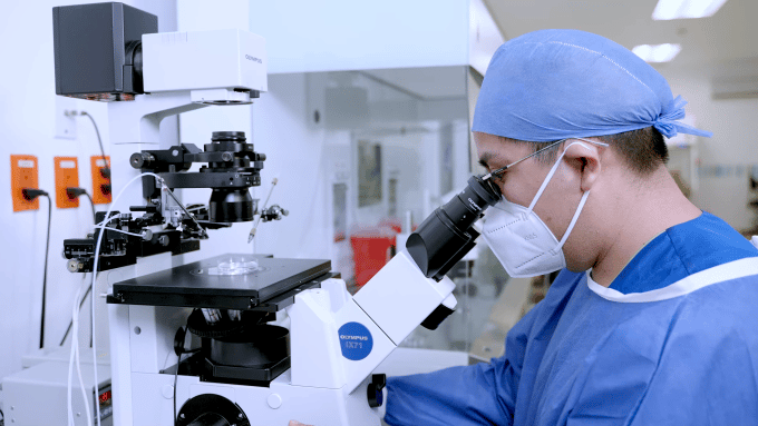 conacyt-and-fertility-investigation-at–Ingenes-Institute-embryologist-analyzing-embryos-in-microscope-within-assisted-reproduction-laboratory