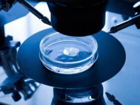 in-vitro-fertilization-in-laboratory-using-picsi-technique