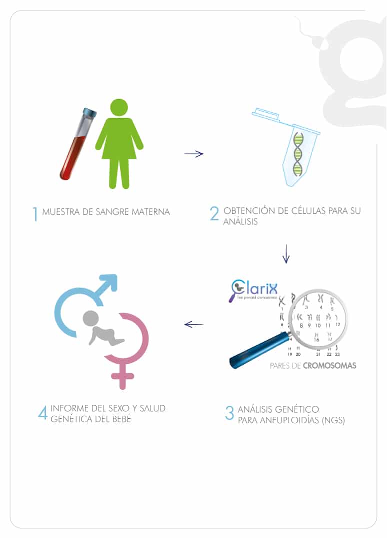 clarix-detecta-anomalias-geneticas-en-tu-bebe-pasos-para-realizar-test-prenatal-no-invasivo-en-ingenes