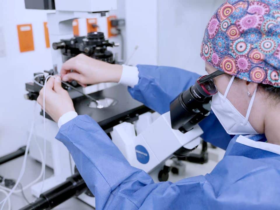 el-papel-de-los-biologos-en-tratamientos-de-fertilidad-biologa-de-la-reproduccion-humana-embriologa-analizando-embriones-en-microscopio