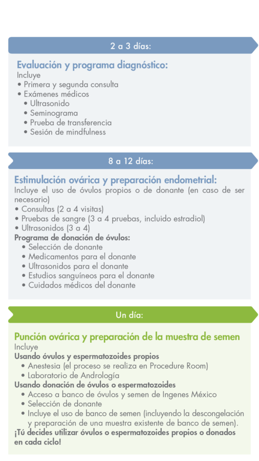 linea-de-tiempo-viaje-tratamiento-fertilidad-mexico-FIV